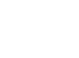 logo-white 1